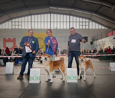 Spring National Dog Show Nowy Dwór Mazowiecki