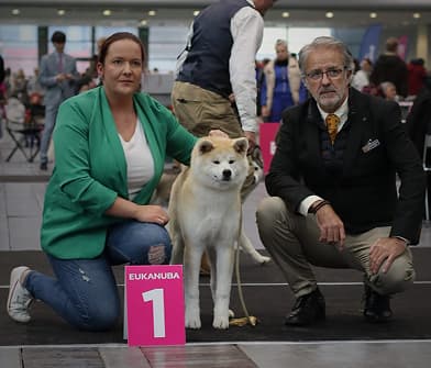 International Dog Show (CACIB) Gdynia