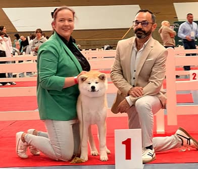 European Dog Show 2024
